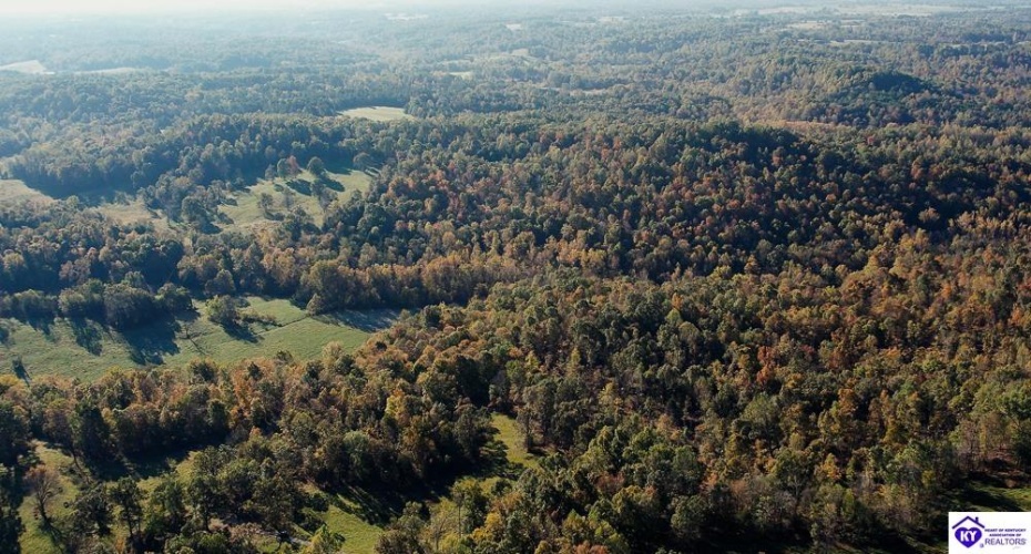 Roy Road, Eastview, Kentucky 42732, ,For Sale,Roy Road,HK24004014