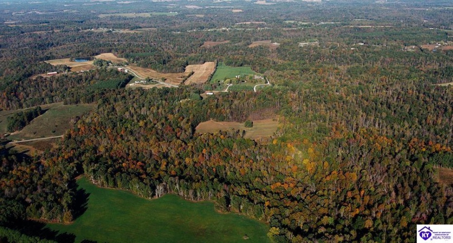 Roy Road, Eastview, Kentucky 42732, ,For Sale,Roy Road,HK24004014