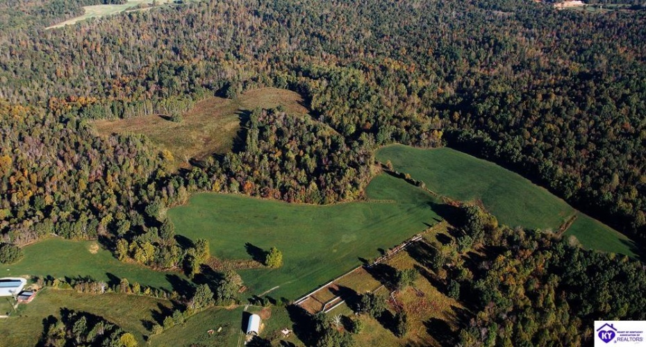 Roy Road, Eastview, Kentucky 42732, ,For Sale,Roy Road,HK24004014