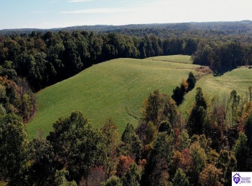 Roy Road, Eastview, Kentucky 42732, ,For Sale,Roy Road,HK24004014