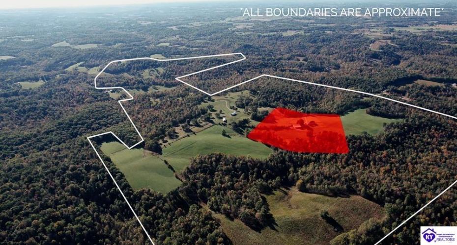 Roy Road, Eastview, Kentucky 42732, ,For Sale,Roy Road,HK24004014