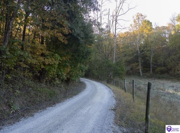 Roy Road, Eastview, Kentucky 42732, ,For Sale,Roy Road,HK24004014