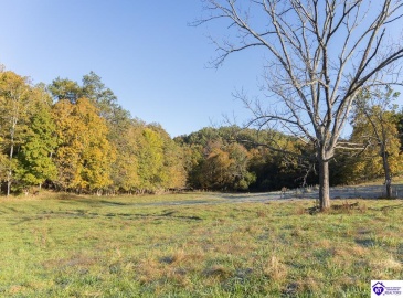 Roy Road, Eastview, Kentucky 42732, ,For Sale,Roy Road,HK24004014