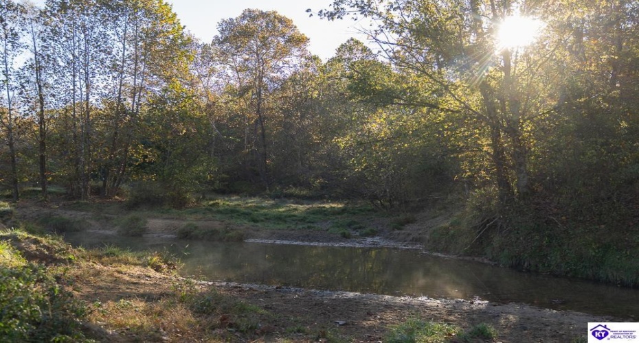 Roy Road, Eastview, Kentucky 42732, ,For Sale,Roy Road,HK24004014