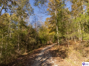 Roy Road, Eastview, Kentucky 42732, ,For Sale,Roy Road,HK24004014