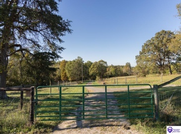 Roy Road, Eastview, Kentucky 42732, ,For Sale,Roy Road,HK24004014