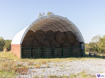 Roy Road, Eastview, Kentucky 42732, ,For Sale,Roy Road,HK24004014