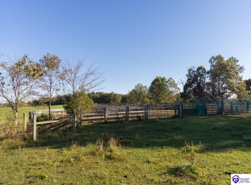Roy Road, Eastview, Kentucky 42732, ,For Sale,Roy Road,HK24004014