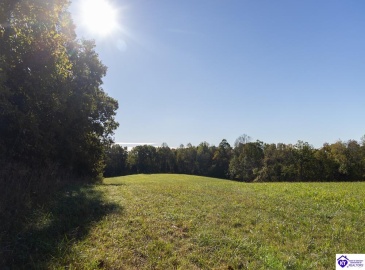 Roy Road, Eastview, Kentucky 42732, ,For Sale,Roy Road,HK24004014