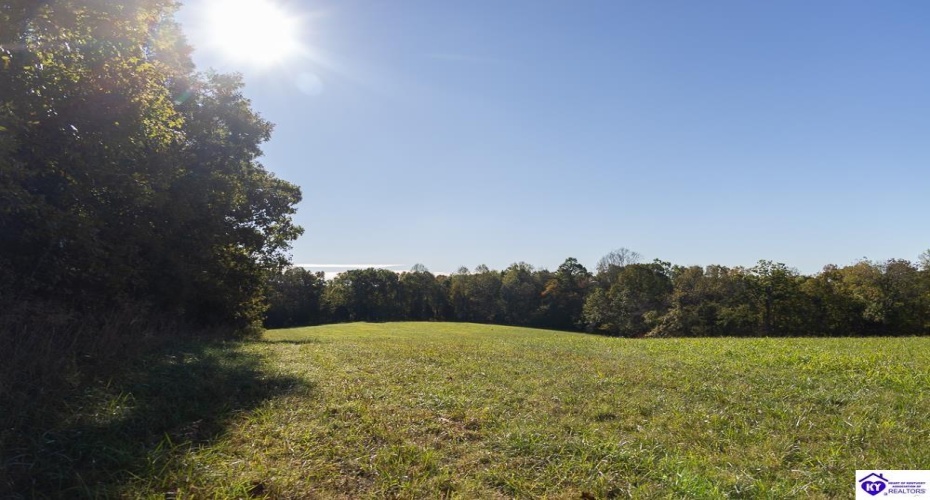 Roy Road, Eastview, Kentucky 42732, ,For Sale,Roy Road,HK24004014