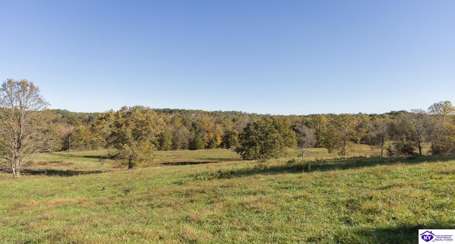 Roy Road, Eastview, Kentucky 42732, ,For Sale,Roy Road,HK24004014