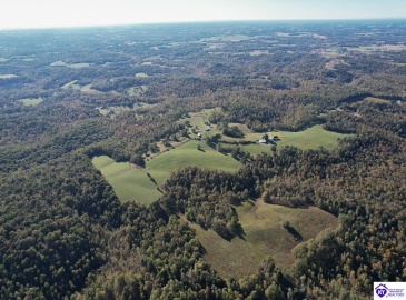 Roy Road, Eastview, Kentucky 42732, ,For Sale,Roy Road,HK24004014