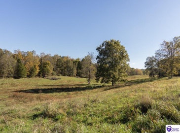 Roy Road, Eastview, Kentucky 42732, ,For Sale,Roy Road,HK24004014