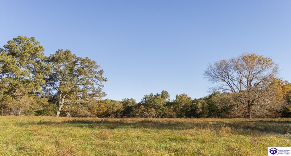 Roy Road, Eastview, Kentucky 42732, ,For Sale,Roy Road,HK24004014