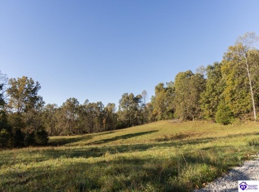 Roy Road, Eastview, Kentucky 42732, ,For Sale,Roy Road,HK24004014