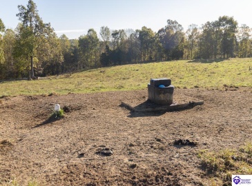 Roy Road, Eastview, Kentucky 42732, ,For Sale,Roy Road,HK24004014