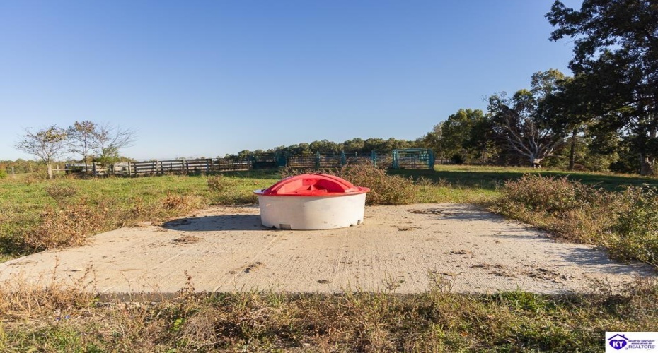 Roy Road, Eastview, Kentucky 42732, ,For Sale,Roy Road,HK24004014