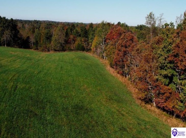 Roy Road, Eastview, Kentucky 42732, ,For Sale,Roy Road,HK24004014