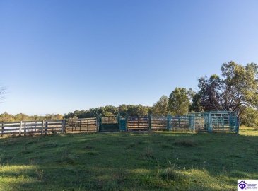 Roy Road, Eastview, Kentucky 42732, ,For Sale,Roy Road,HK24004014