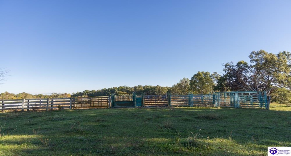 Roy Road, Eastview, Kentucky 42732, ,For Sale,Roy Road,HK24004014