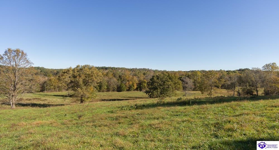 Roy Road, Eastview, Kentucky 42732, ,For Sale,Roy Road,HK24004014