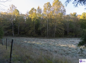 Roy Road, Eastview, Kentucky 42732, ,For Sale,Roy Road,HK24004014