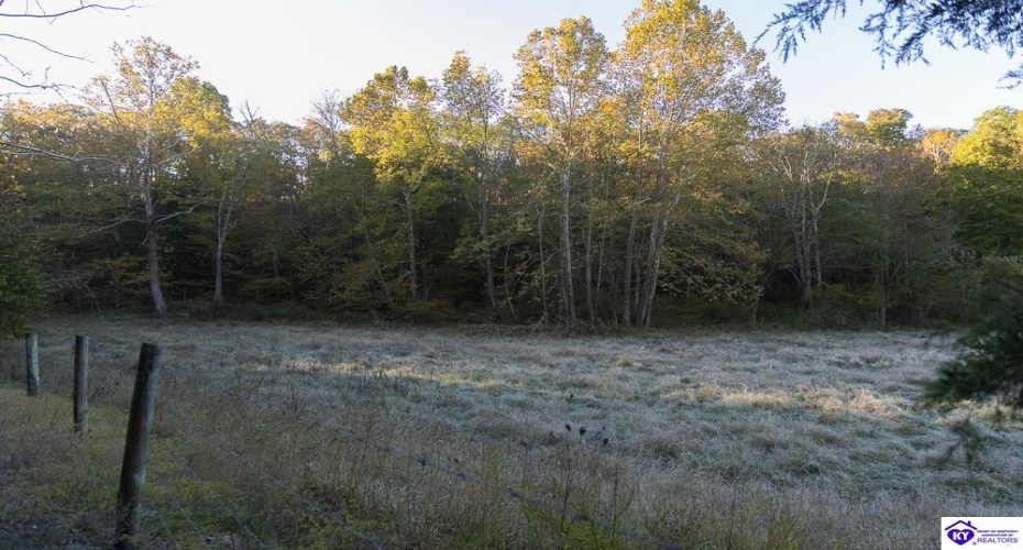 Roy Road, Eastview, Kentucky 42732, ,For Sale,Roy Road,HK24004014