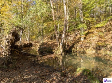 Roy Road, Eastview, Kentucky 42732, ,For Sale,Roy Road,HK24004014