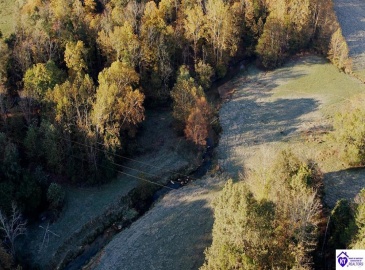 Roy Road, Eastview, Kentucky 42732, ,For Sale,Roy Road,HK24004014