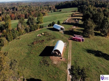 Roy Road, Eastview, Kentucky 42732, ,For Sale,Roy Road,HK24004014