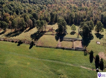 Roy Road, Eastview, Kentucky 42732, ,For Sale,Roy Road,HK24004014