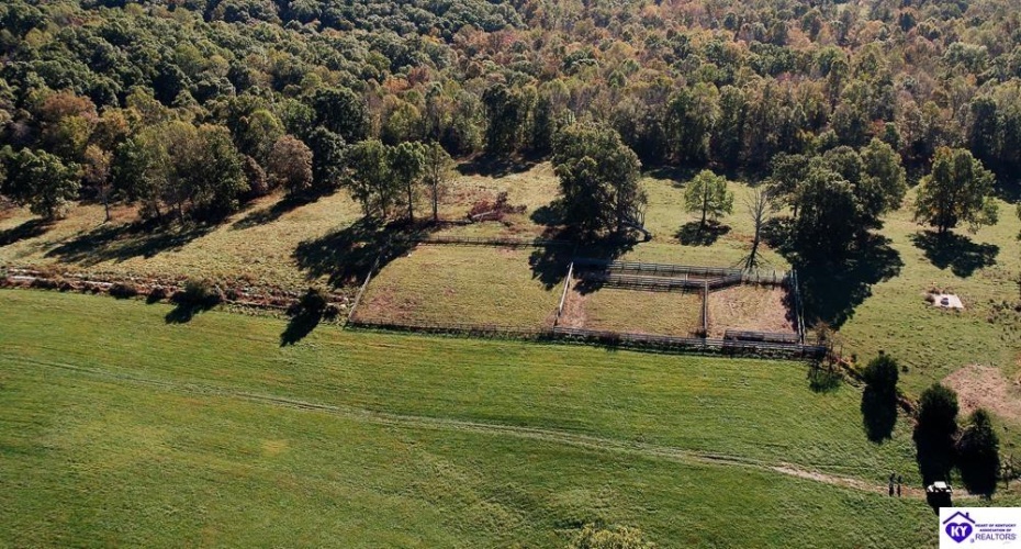 Roy Road, Eastview, Kentucky 42732, ,For Sale,Roy Road,HK24004014