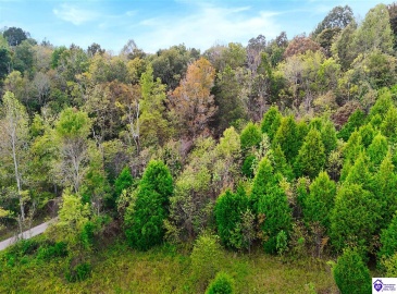 Howard Tucker Rd, Hudson, Kentucky 40145, ,For Sale,Howard Tucker Rd,HK24004024