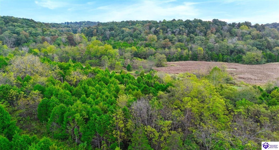 Howard Tucker Rd, Hudson, Kentucky 40145, ,For Sale,Howard Tucker Rd,HK24004024