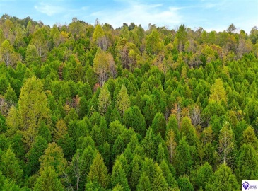 Howard Tucker Rd, Hudson, Kentucky 40145, ,For Sale,Howard Tucker Rd,HK24004024