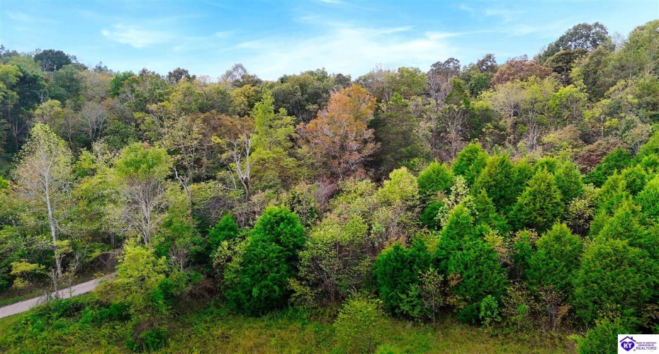 Howard Tucker Rd, Hudson, Kentucky 40145, ,For Sale,Howard Tucker Rd,HK24004024