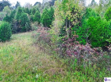 Howard Tucker Rd, Hudson, Kentucky 40145, ,For Sale,Howard Tucker Rd,HK24004024