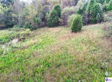 Howard Tucker Rd, Hudson, Kentucky 40145, ,For Sale,Howard Tucker Rd,HK24004024