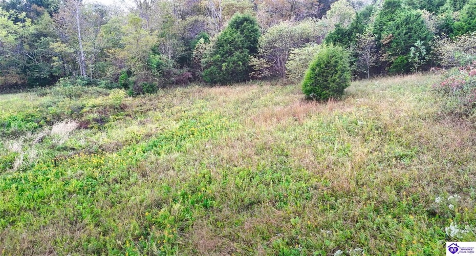 Howard Tucker Rd, Hudson, Kentucky 40145, ,For Sale,Howard Tucker Rd,HK24004024