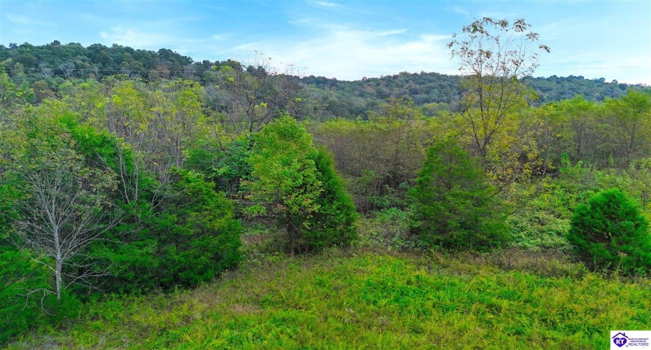 Howard Tucker Rd, Hudson, Kentucky 40145, ,For Sale,Howard Tucker Rd,HK24004024