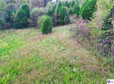 Howard Tucker Rd, Hudson, Kentucky 40145, ,For Sale,Howard Tucker Rd,HK24004024