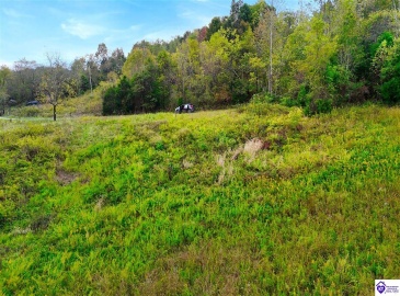 Howard Tucker Rd, Hudson, Kentucky 40145, ,For Sale,Howard Tucker Rd,HK24004024