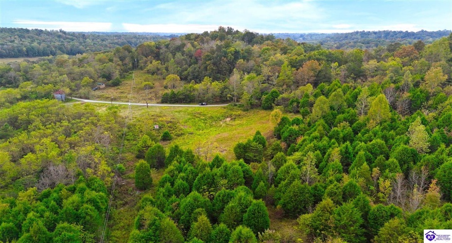 Howard Tucker Rd, Hudson, Kentucky 40145, ,For Sale,Howard Tucker Rd,HK24004024