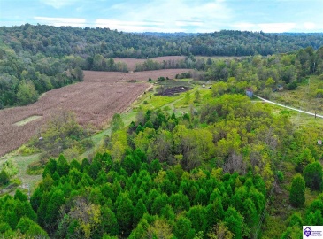 Howard Tucker Rd, Hudson, Kentucky 40145, ,For Sale,Howard Tucker Rd,HK24004024