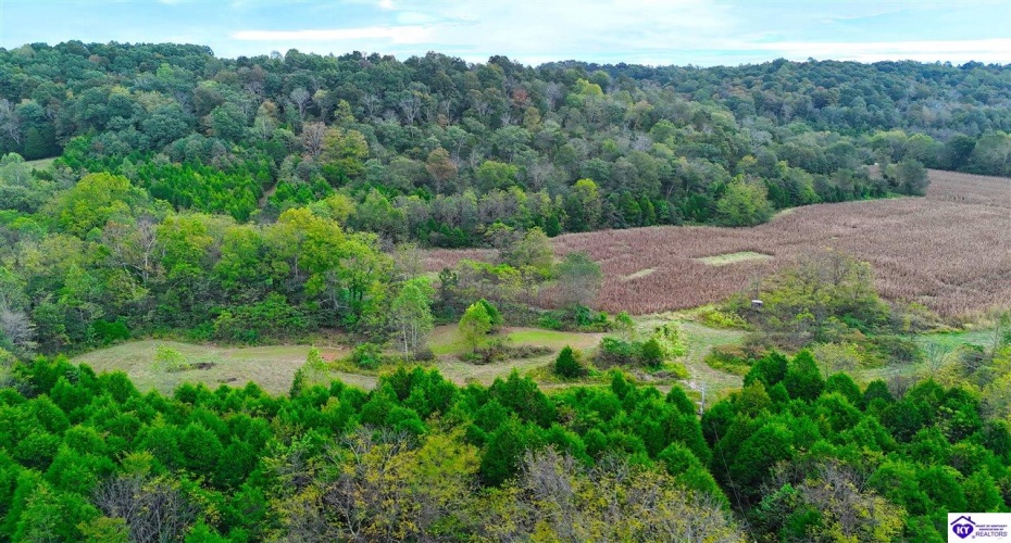 Howard Tucker Rd, Hudson, Kentucky 40145, ,For Sale,Howard Tucker Rd,HK24004024