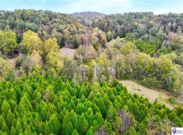 Howard Tucker Rd, Hudson, Kentucky 40145, ,For Sale,Howard Tucker Rd,HK24004024