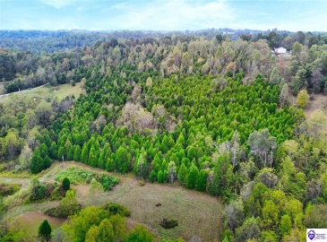 Howard Tucker Rd, Hudson, Kentucky 40145, ,For Sale,Howard Tucker Rd,HK24004024