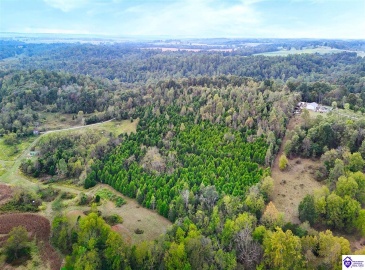 Howard Tucker Rd, Hudson, Kentucky 40145, ,For Sale,Howard Tucker Rd,HK24004024