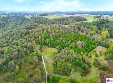 Howard Tucker Rd, Hudson, Kentucky 40145, ,For Sale,Howard Tucker Rd,HK24004024