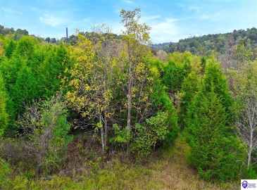 Howard Tucker Rd, Hudson, Kentucky 40145, ,For Sale,Howard Tucker Rd,HK24004024